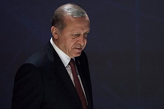Гражданка Канады арестована в Турции за критику Эрдогана