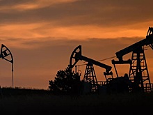 Россия получила от Алжира приглашение на участие в тендерах по освоению нефтегазовых месторождений