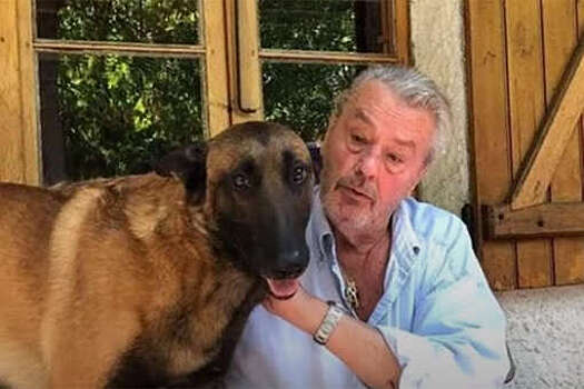 Собаку Делона Лубо не усыпят, несмотря на его последнюю волю