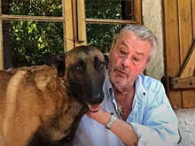 Figaro: завещание Алена Делона передали его двоим сыновьям и дочери