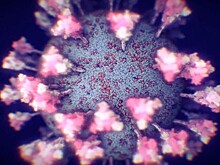 Вирусолог Чумаков назвал "кракен" обычной простудой