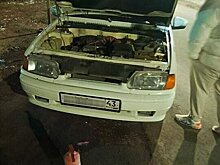 В Кирове кинолог потушил возгорание автомобиля