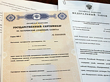 Россияне рассказали, на что планируют потратить материнский капитал