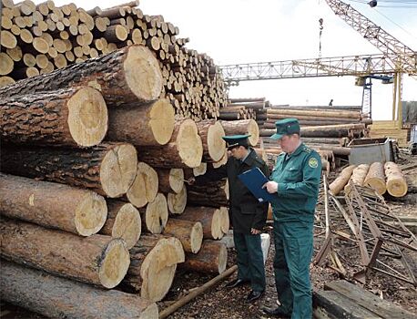 Контрабандисты переходят все границы