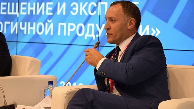 Экономист Андрей Шпиленко объяснил причину отказа партии «Родина» в регистрации