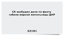 СК возбудил дело по факту гибели мирной жительницы ДНР