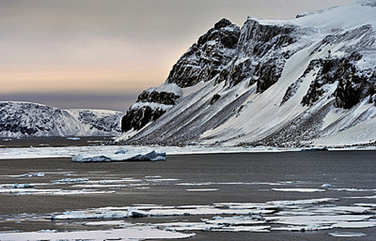 Разработки для Арктики: сахар из борщевика и вездеходы, не меняющие ландшафт