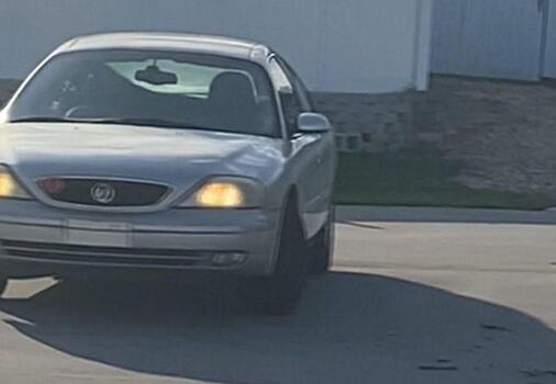 Пёс на протяжении часа катался на хозяйском автомобиле во Флориде