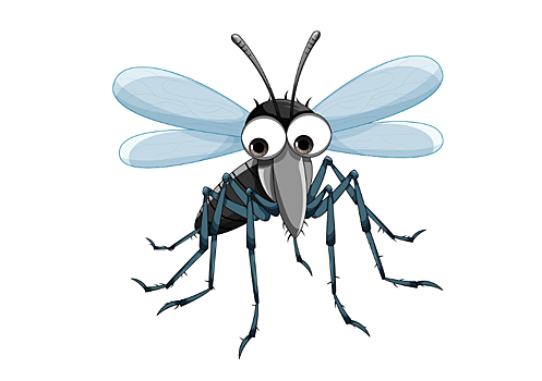 Туристов напугали тигровыми комарами в Гоа