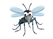 Туристов напугали тигровыми комарами в Гоа