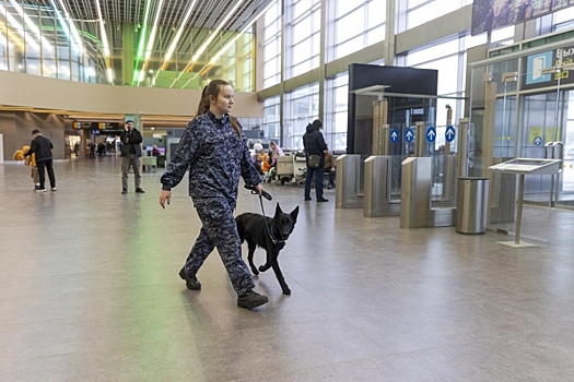 Три аэропорта закрыли в Приволжье из-за угрозы атаки БПЛА