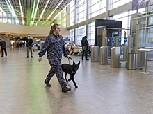 Три аэропорта закрыли в Приволжье из-за угрозы атаки БПЛА