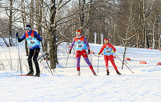 Собянин анонсировал строительство в Москве 500 км лыжных трасс с искусственным снегом