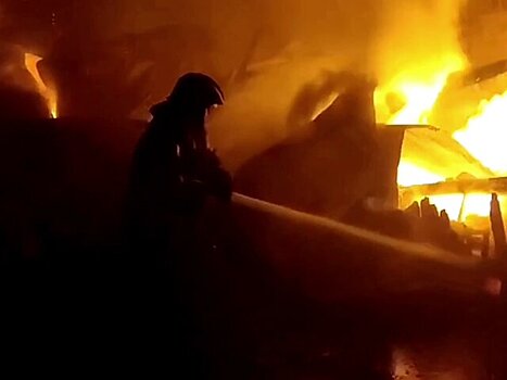Под Новгородом потушен крупный пожар на пилораме