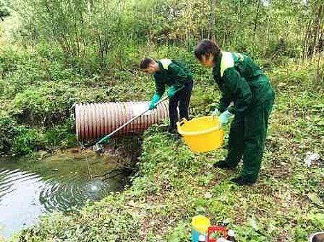 Завод в Кулебакском районе по производству воды оштрафовали за загрязнение ручья