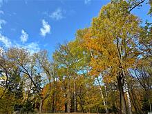 Областной суд пересмотрит генплан Самары из-за "пропавших" лесов