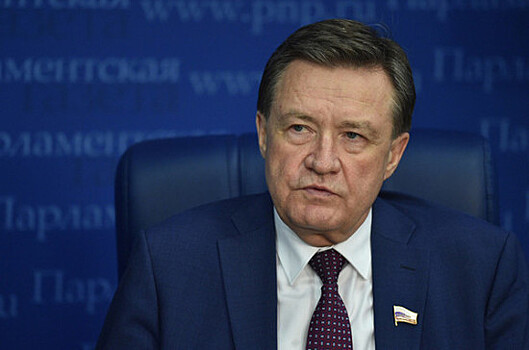 Сенатор считает необоснованной панику в связи с резким падением рубля