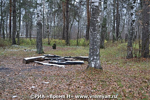 Вакцину против бешенства раскладывают в Нижегородской области