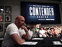 UFC ждет новое пополнение. Где смотреть Contender Series