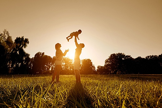 Директор АЦ ВЦИОМ Федоров: У нас фактически умер такой статус, как "глава семьи"