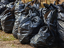 Мусор: разделяй и властвуй