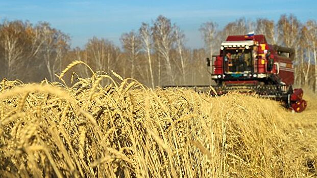 Запасов зерна в России достаточно, заявили в Зерновом союзе