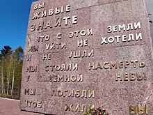 В автобусах Ленобласти рассказывают о Великой Отечественной войне
