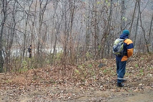 Спасатели нашли потерявшихся при восхождении на гору Фалаза в Приморье туристов