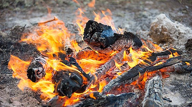 Семь человек в Ноябрьске оштрафованы за нарушение правил пожарной безопасности в лесах