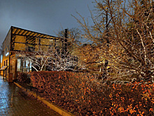 В Самарской области 10 ноября ожидается дождь