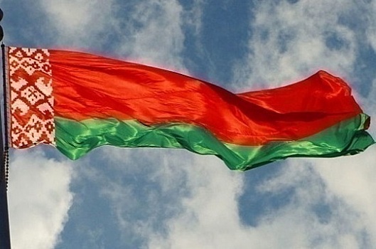 Наблюдатель ОБСЕ назвал выборы в Белоруссии честными и прозрачными