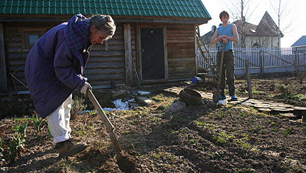 Российские садоводы получат налоговые льготы