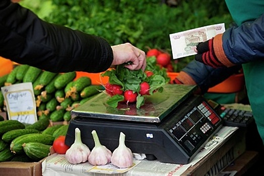 Курс по повышению классификации «Развитие торговли и сферы услуг» провели в Подмосковье