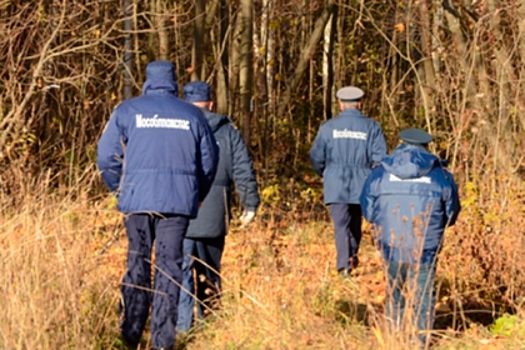 Двое взрослых и ребенок пострадали при падении деревьев в Москве