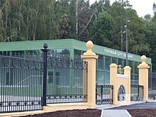 Нижегородцы потребовали высаживать кусты у парков
