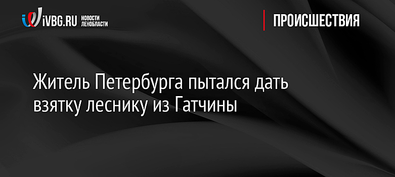 Житель Петербурга пытался дать взятку леснику из Гатчины