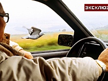 Автоэксперт объяснил, при каких болезнях водителей могут автоматически лишать прав