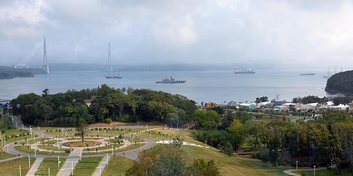 37, зато честно: что Хабаровский край покажет на ВЭФ