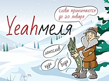 «Краш» и «кринж»: в соцсетях Института Пушкина  обсуждают  заимствованные слова последних лет 