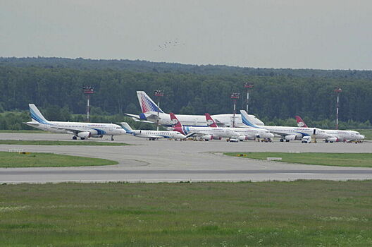 Первая семья, эвакуированная дипломатами РФ из сектора Газа, прибыла в Москву