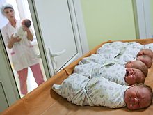 Почти 450 семей в Ингушетии получают пособия на первого ребёнка
