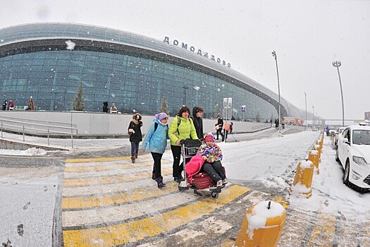 Из-за снегопада в Москве массово задерживаются авиарейсы