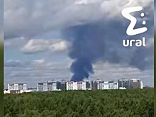 Пожар на птицефабрике в Челябинской области локализован