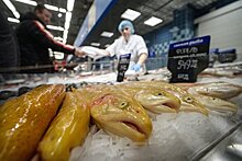 Коронавирус снизил спрос на свежую рыбу в мире