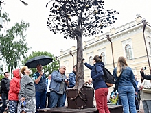 Кованое дерево появилось на Кремлевской площади в Вологде