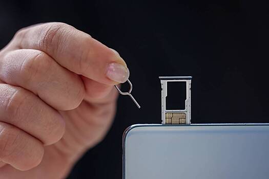 Силовики накрыли несколько снятых для совершения преступлений квартир