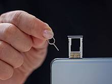 Силовики накрыли несколько снятых для совершения преступлений квартир