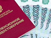 Клишас: законы против "фейков" и оскорбления власти защищают права человека