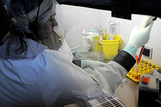 Vox (США): в российской лаборатории, где хранились образцы оспы и Эболы, произошел взрыв