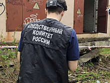 В Архангельске мальчик залез в трансформаторную будку и не выжил